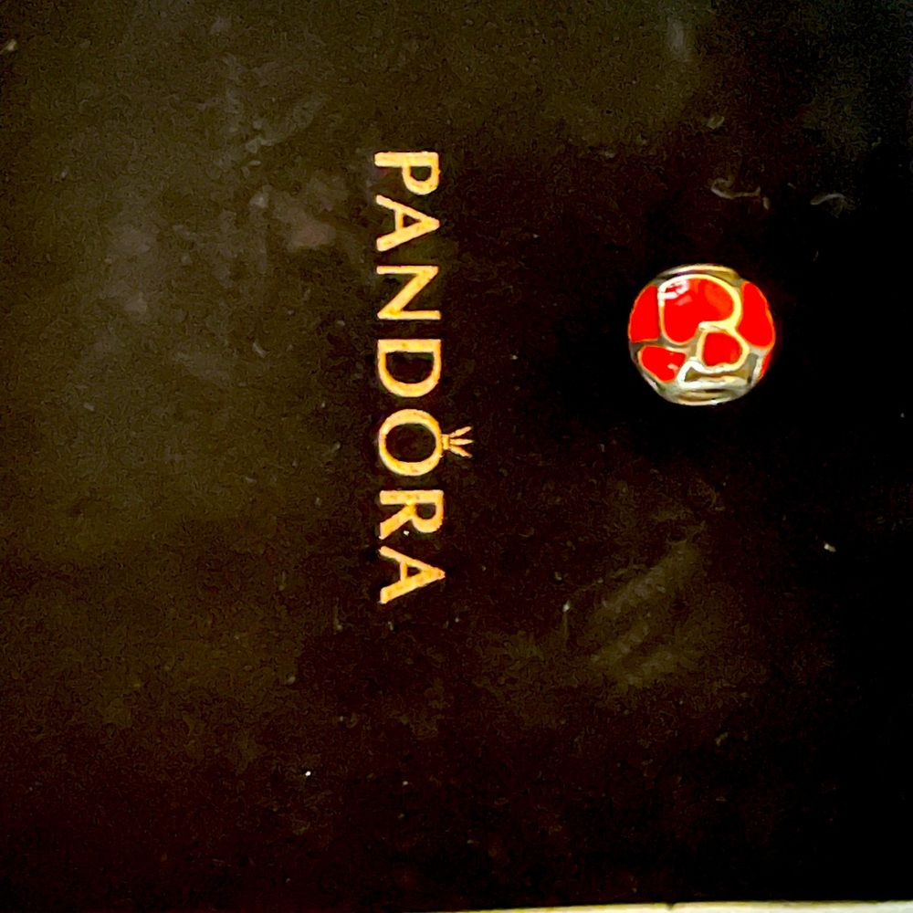 Pandora Charm